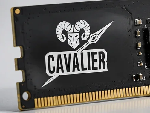 Enterprise ECC RAM, photo 4
