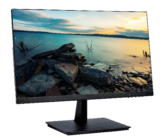 Dugong 24-inch Monitor (BQ215238)